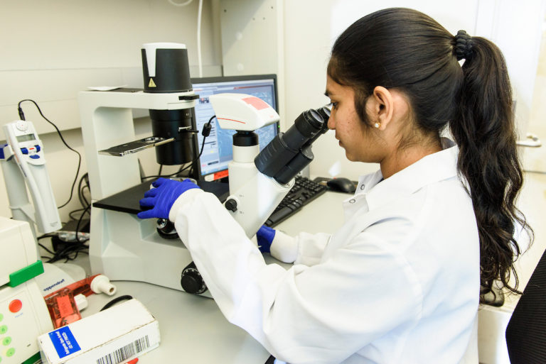 Kalvalya Molugu, graduate student at the University of Wisconsin-Madison, works with stem cells in a lab at the Wisconsin Institute for Discovery (WID) on Oct. 26, 2018. (Photo by Bryce Richter /UW-Madison)